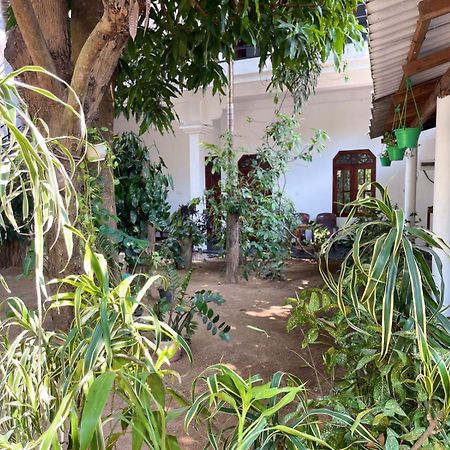 Arugambay Village Baie d'Arugam Extérieur photo