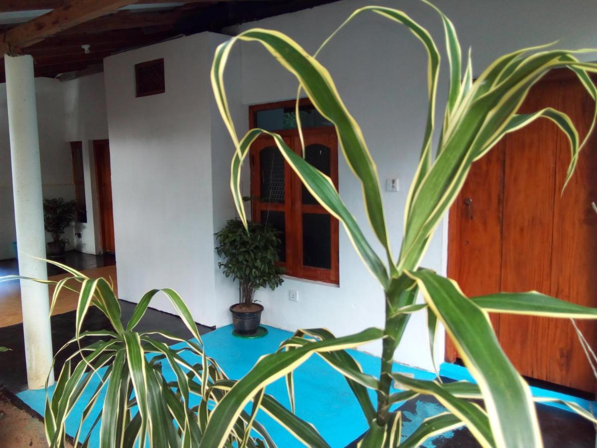 Arugambay Village Baie d'Arugam Extérieur photo